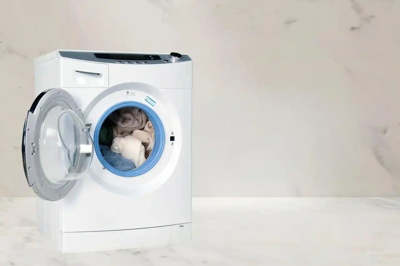 صيانة غسالة EGY